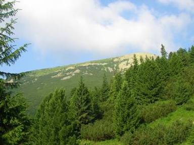 http://www.content.net.ua/registration/content/ua1453/secs/s21619/image002.jpg